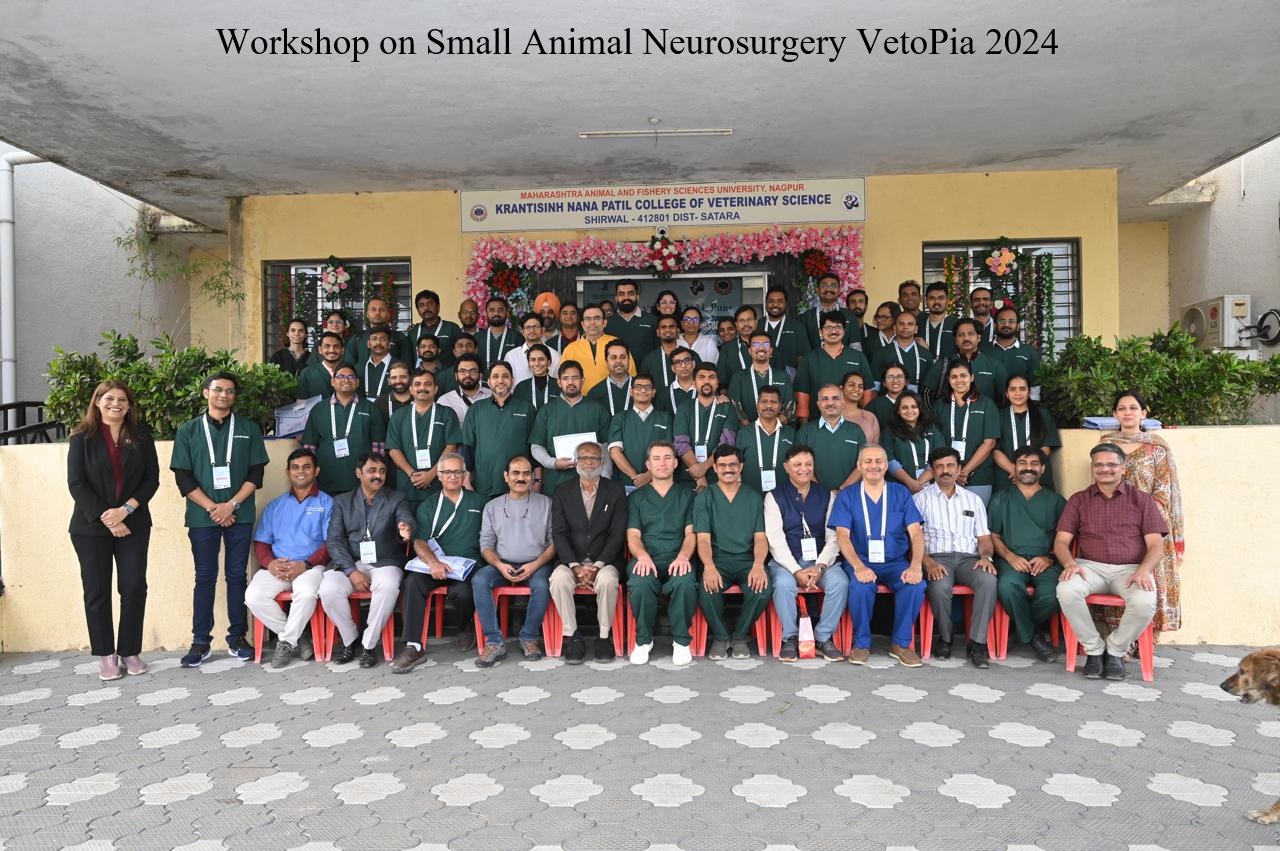 NEUROSURGERY workshop